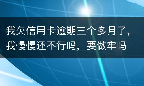 我欠信用卡逾期三个多月了，我慢慢还不行吗，要做牢吗
