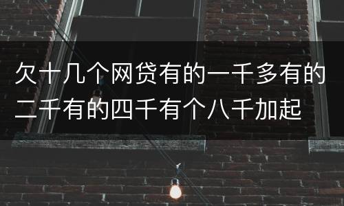欠十几个网贷有的一千多有的二千有的四千有个八千加起