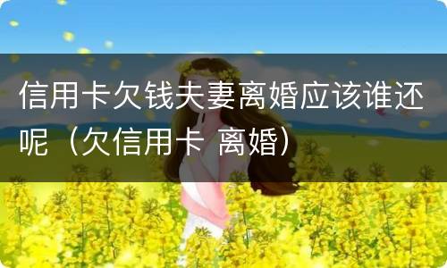 信用卡欠钱夫妻离婚应该谁还呢（欠信用卡 离婚）