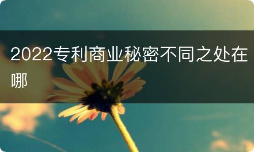 2022专利商业秘密不同之处在哪