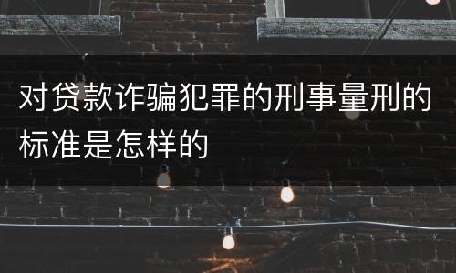 对贷款诈骗犯罪的刑事量刑的标准是怎样的