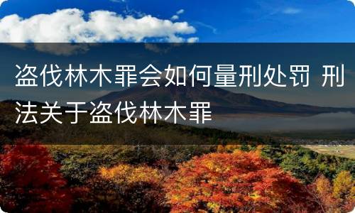 盗伐林木罪会如何量刑处罚 刑法关于盗伐林木罪