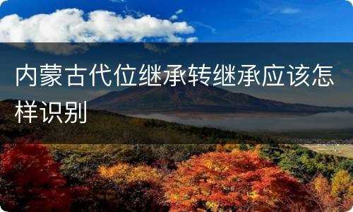 内蒙古代位继承转继承应该怎样识别