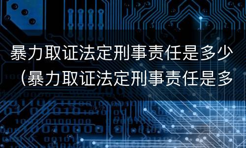 暴力取证法定刑事责任是多少（暴力取证法定刑事责任是多少年）