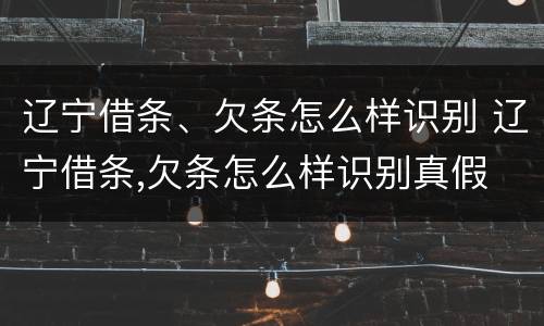 辽宁借条、欠条怎么样识别 辽宁借条,欠条怎么样识别真假