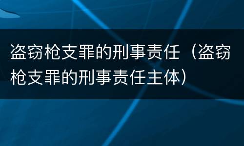 盗窃枪支罪的刑事责任（盗窃枪支罪的刑事责任主体）