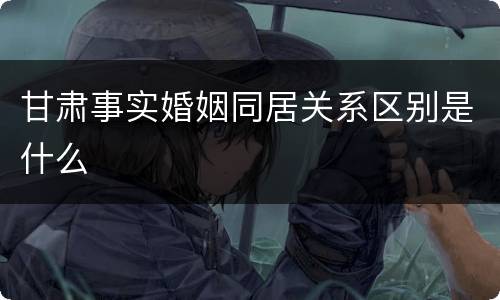 甘肃事实婚姻同居关系区别是什么