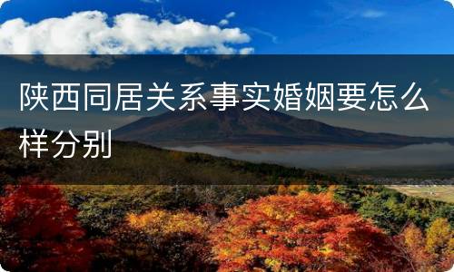 陕西同居关系事实婚姻要怎么样分别