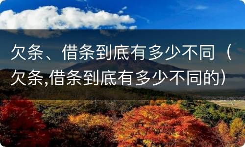 欠条、借条到底有多少不同(欠条,借条到底有多少不同的)