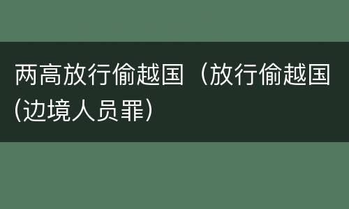 两高放行偷越国（放行偷越国(边境人员罪）