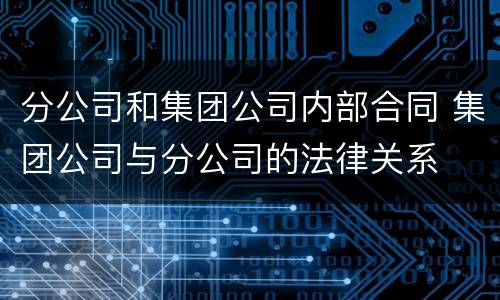 分公司和集团公司内部合同 集团公司与分公司的法律关系