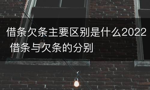 借条欠条主要区别是什么2022 借条与欠条的分别