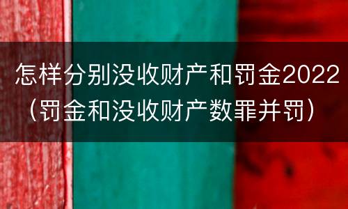 怎样分别没收财产和罚金2022（罚金和没收财产数罪并罚）