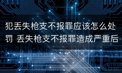 犯丢失枪支不报罪应该怎么处罚 丢失枪支不报罪造成严重后果