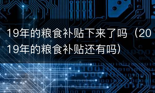 19年的粮食补贴下来了吗（2019年的粮食补贴还有吗）
