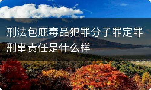 刑法包庇毒品犯罪分子罪定罪刑事责任是什么样