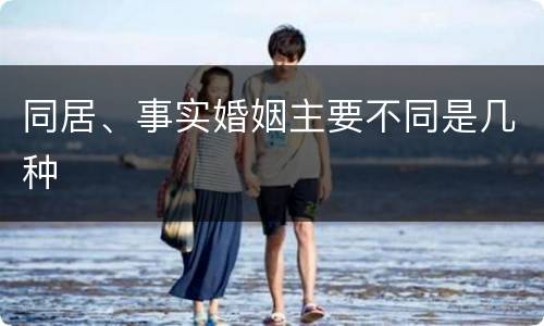 同居、事实婚姻主要不同是几种