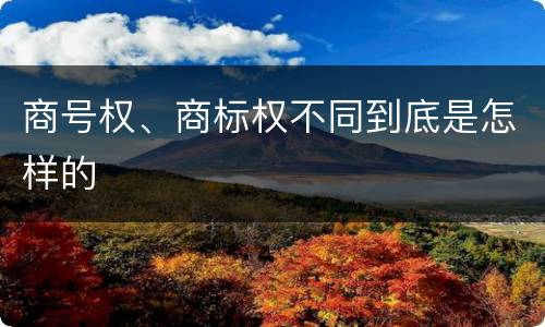 商号权、商标权不同到底是怎样的
