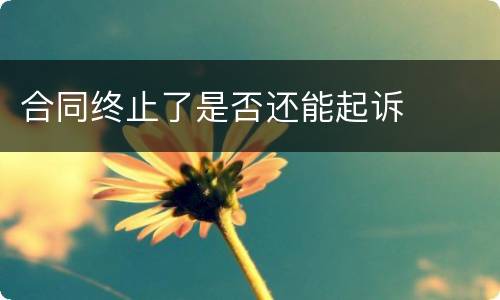 合同终止了是否还能起诉