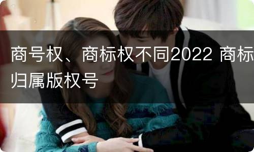 商号权、商标权不同2022 商标归属版权号
