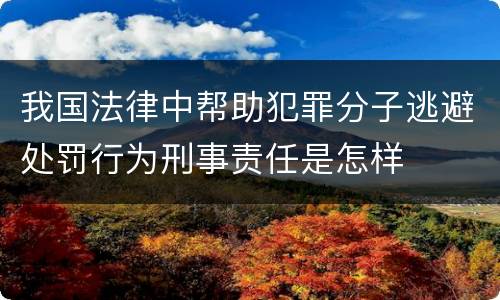 我国法律中帮助犯罪分子逃避处罚行为刑事责任是怎样