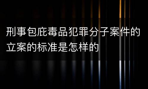 刑事包庇毒品犯罪分子案件的立案的标准是怎样的