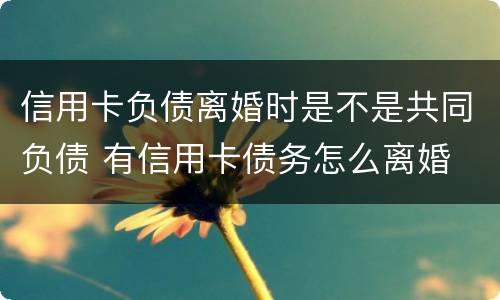 信用卡负债离婚时是不是共同负债 有信用卡债务怎么离婚