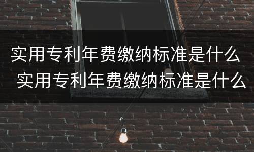 实用专利年费缴纳标准是什么 实用专利年费缴纳标准是什么意思