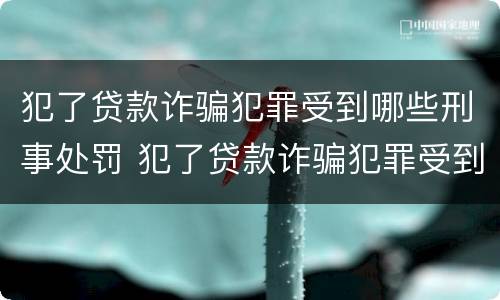 犯了贷款诈骗犯罪受到哪些刑事处罚 犯了贷款诈骗犯罪受到哪些刑事处罚呢
