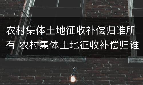 农村集体土地征收补偿归谁所有 农村集体土地征收补偿归谁所有户口不在的