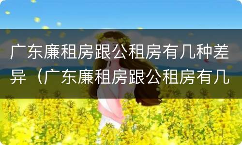 广东廉租房跟公租房有几种差异（广东廉租房跟公租房有几种差异吗）