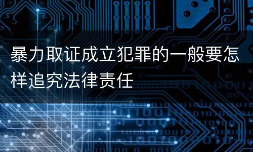 暴力取证成立犯罪的一般要怎样追究法律责任