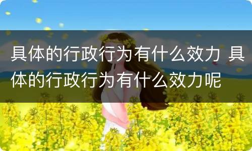 具体的行政行为有什么效力 具体的行政行为有什么效力呢