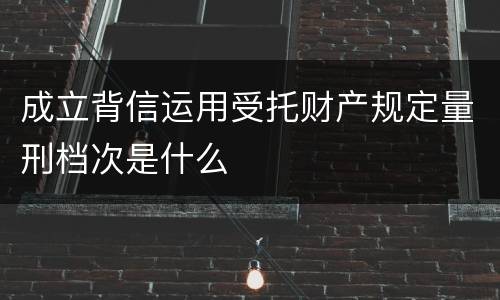 成立背信运用受托财产规定量刑档次是什么