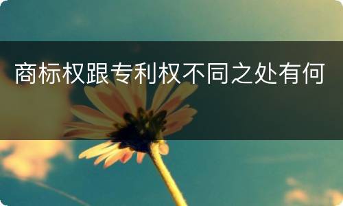 商标权跟专利权不同之处有何