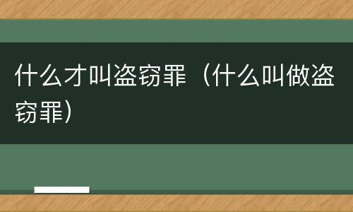 什么才叫盗窃罪（什么叫做盗窃罪）