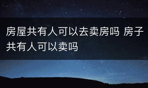 房屋共有人可以去卖房吗 房子共有人可以卖吗