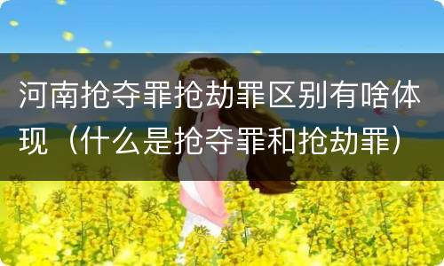 河南抢夺罪抢劫罪区别有啥体现（什么是抢夺罪和抢劫罪）