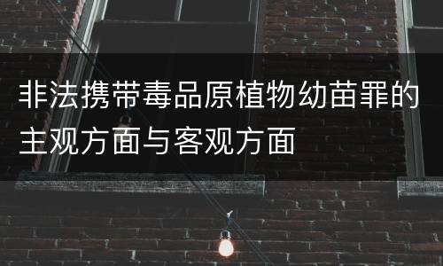 非法携带毒品原植物幼苗罪的主观方面与客观方面