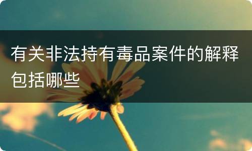 有关非法持有毒品案件的解释包括哪些