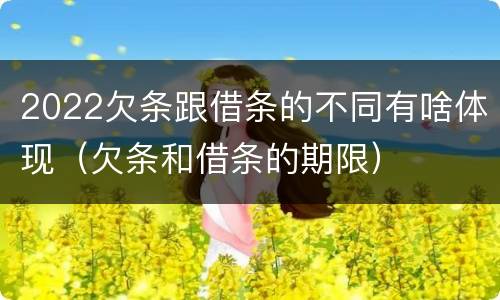 2022欠条跟借条的不同有啥体现（欠条和借条的期限）