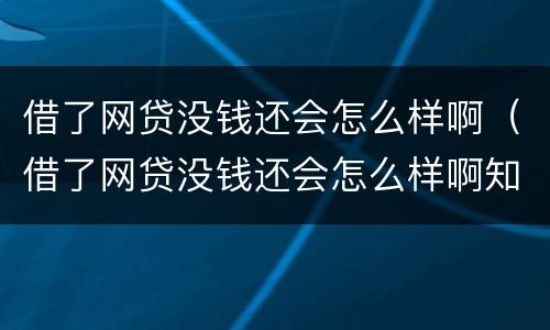 借了网贷没钱还会怎么样啊（借了网贷没钱还会怎么样啊知乎）