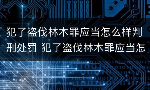 犯了盗伐林木罪应当怎么样判刑处罚 犯了盗伐林木罪应当怎么样判刑处罚标准