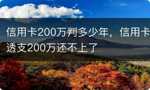 信用卡200万判多少年，信用卡透支200万还不上了