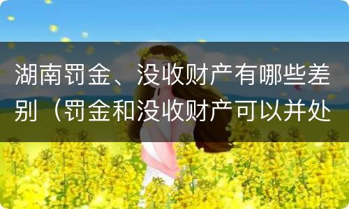 湖南罚金、没收财产有哪些差别（罚金和没收财产可以并处吗）