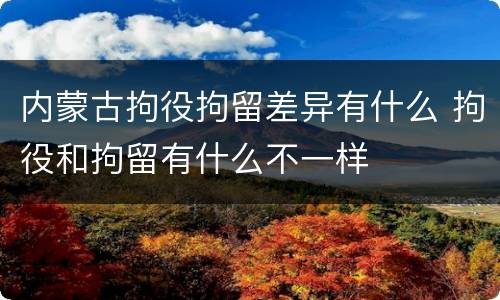 内蒙古拘役拘留差异有什么 拘役和拘留有什么不一样