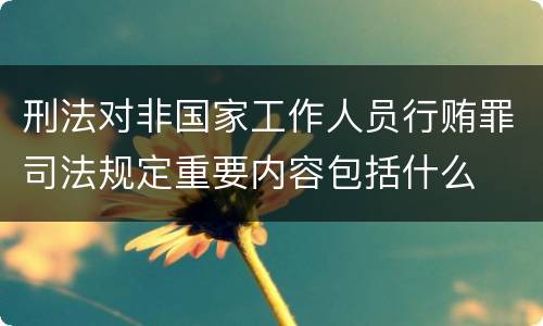 刑法对非国家工作人员行贿罪司法规定重要内容包括什么
