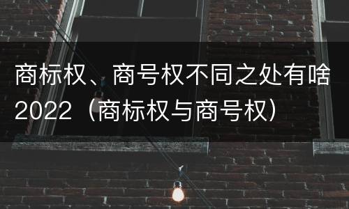 商标权、商号权不同之处有啥2022（商标权与商号权）