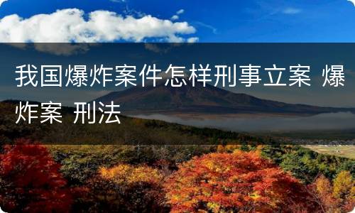 我国爆炸案件怎样刑事立案 爆炸案 刑法