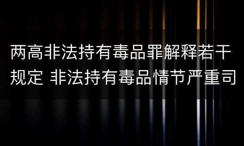 两高非法持有毒品罪解释若干规定 非法持有毒品情节严重司法解释